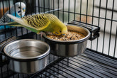 Benefits of Hanging Cage Bowls for Pets