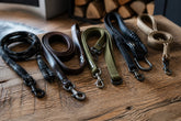 Durable Leashes for Large Dogs: 2026 Buyer's Guide
