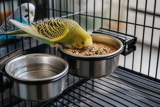 Benefits of Hanging Cage Bowls for Pets