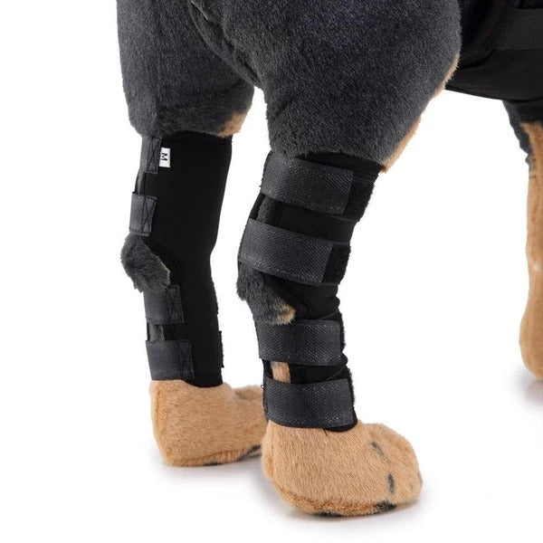 7e200d287444bf2f9cbbafeba2bca0d5