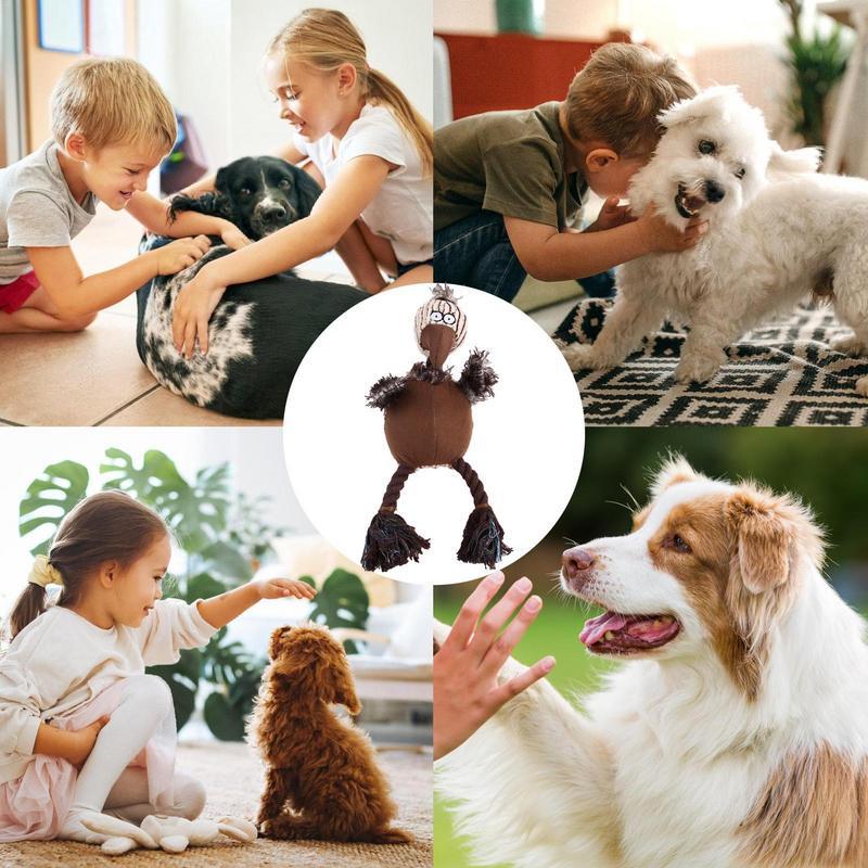 9ddcf1e9d87f9f7c7c367ebfac4d97a2