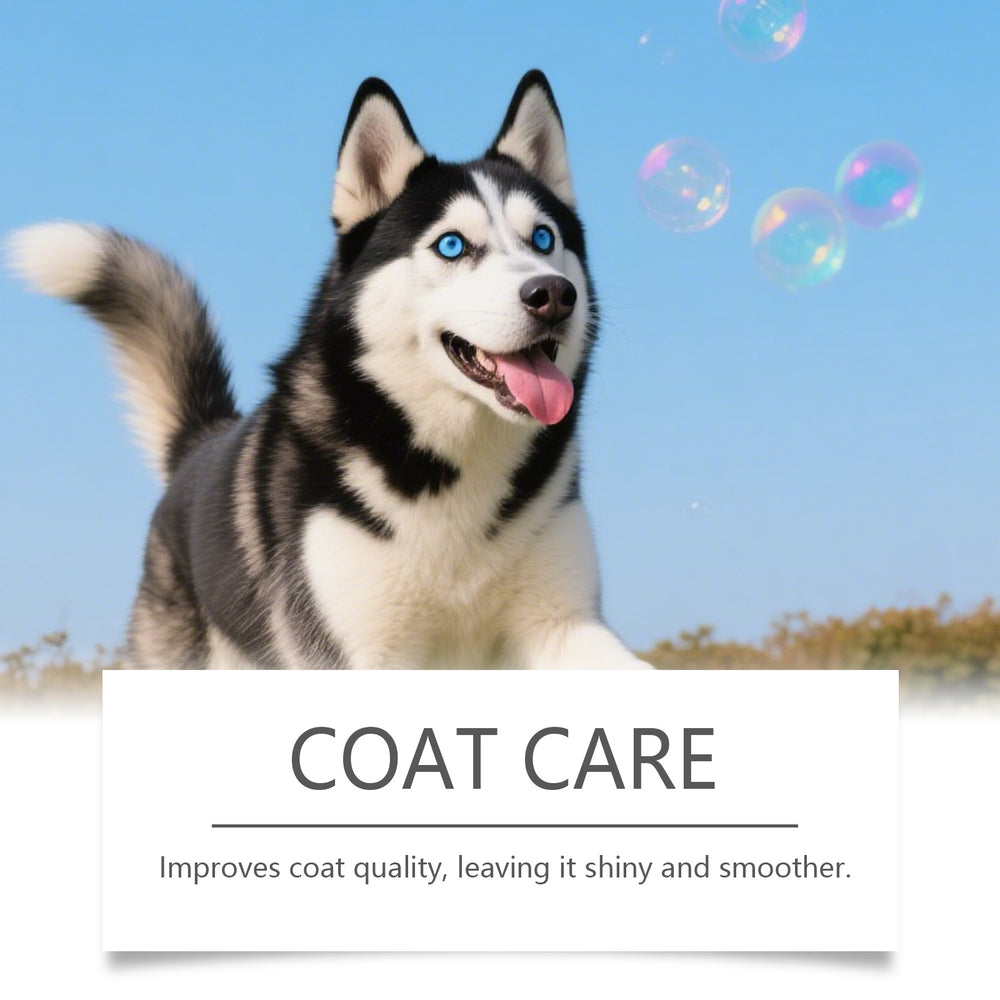 9941eb0cac3032d61172c597295b1957